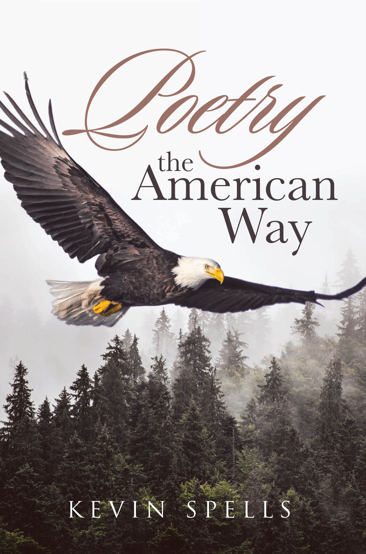 Poetry the American Way Cover Image