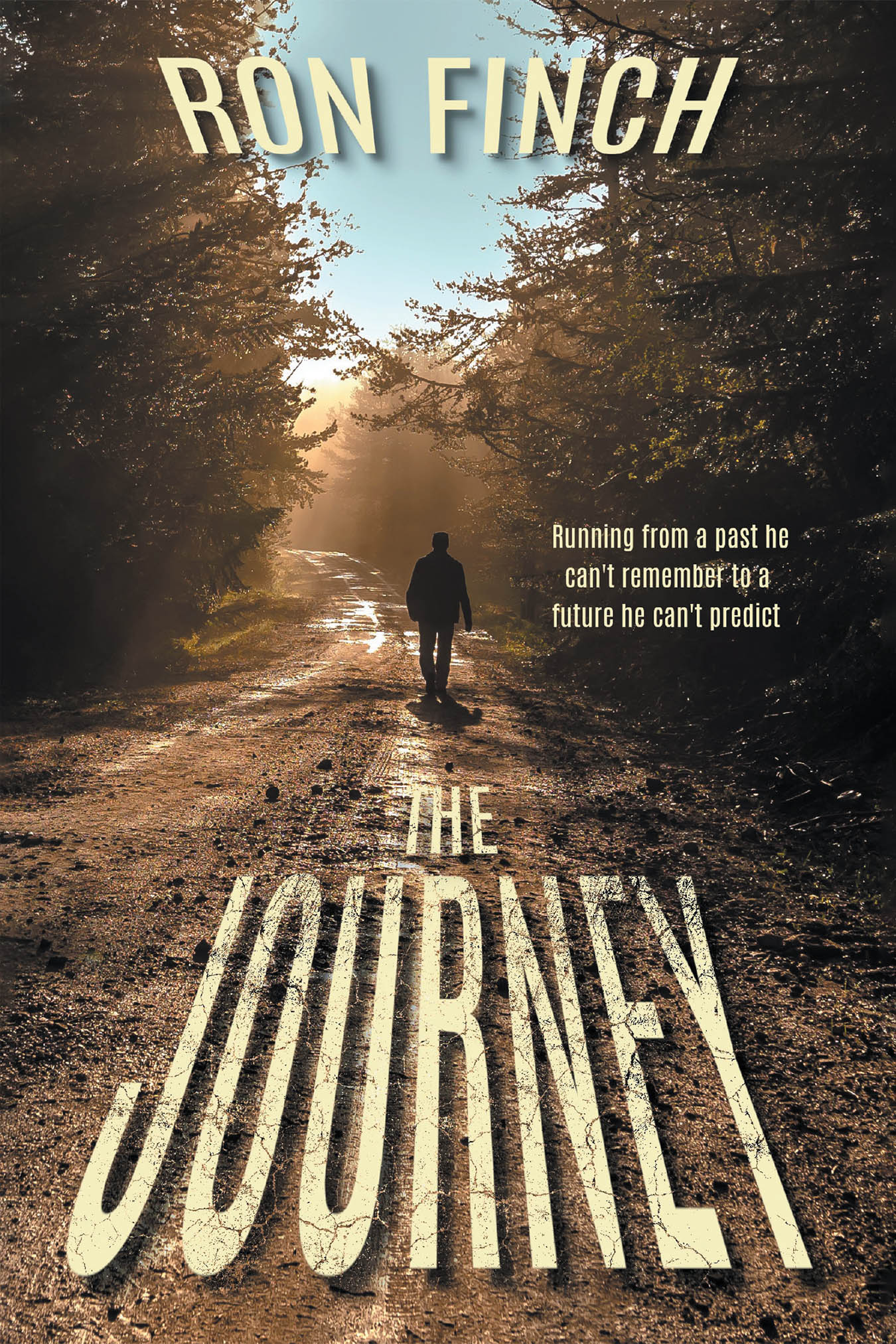 The Journey Cover Image