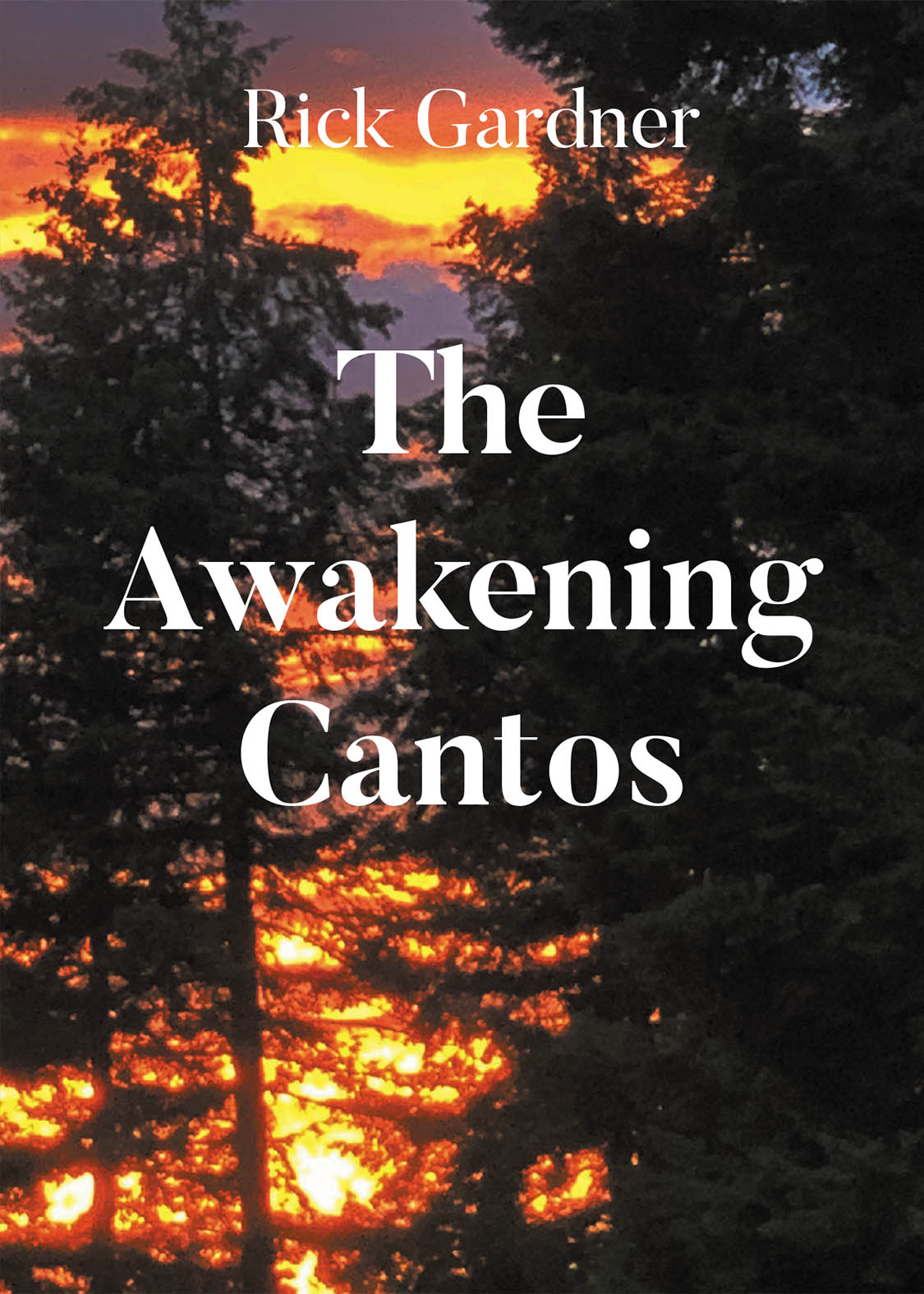 The Awakening Cantos Cover Image