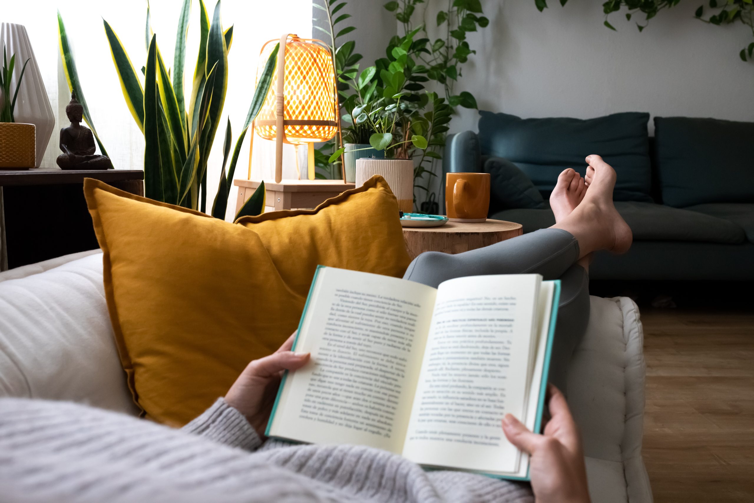 POV of young woman relaxing at home reading a book lying on sofa. an over the shoulder shot of a woman laying on her couch, reading a book