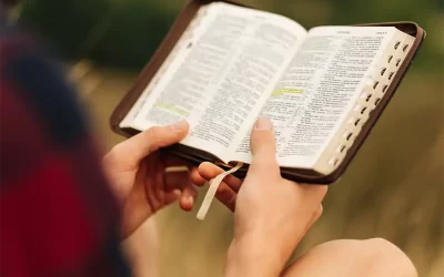 Book Citations: How to Quote the Bible