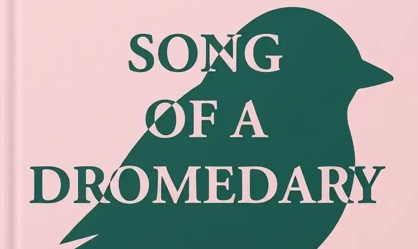 Song of a Dromedary cover
